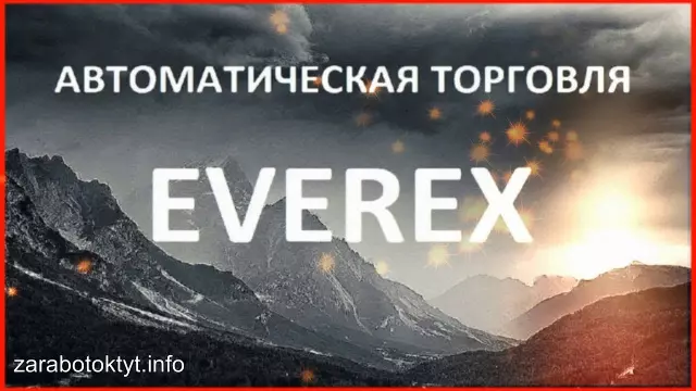 Автоматическая торговля на Forex: роботы и советники